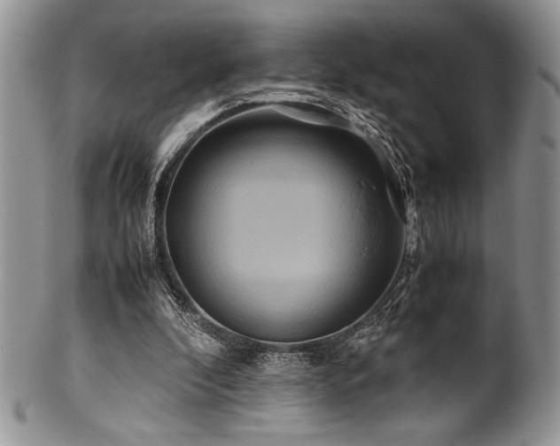 X0000100880296200806201252