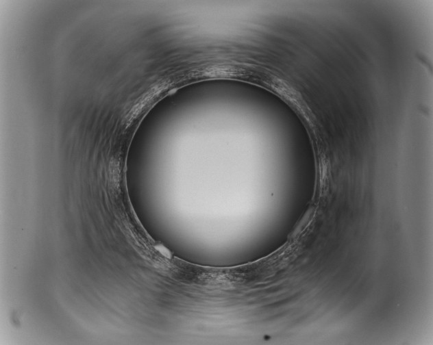 X0000100880297200806201252