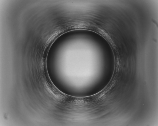 X0000100880298200806201252