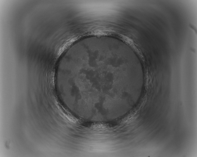 X0000100880299200806201252