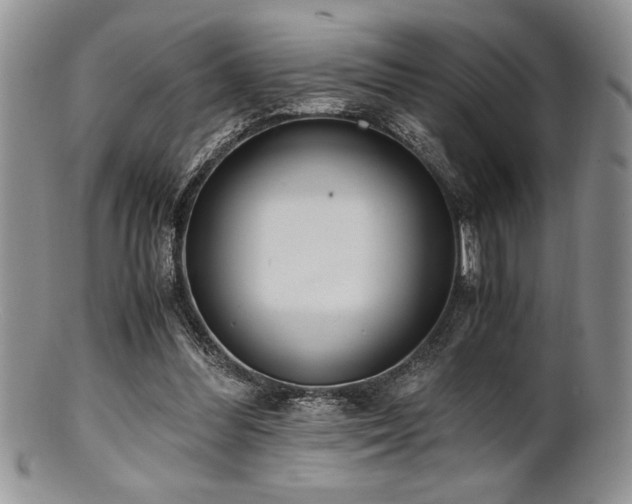 X0000100880300200806201252