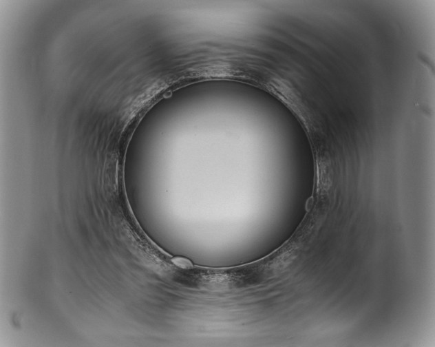 X0000100880301200806201252