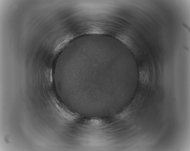 X0000100880302200806201252