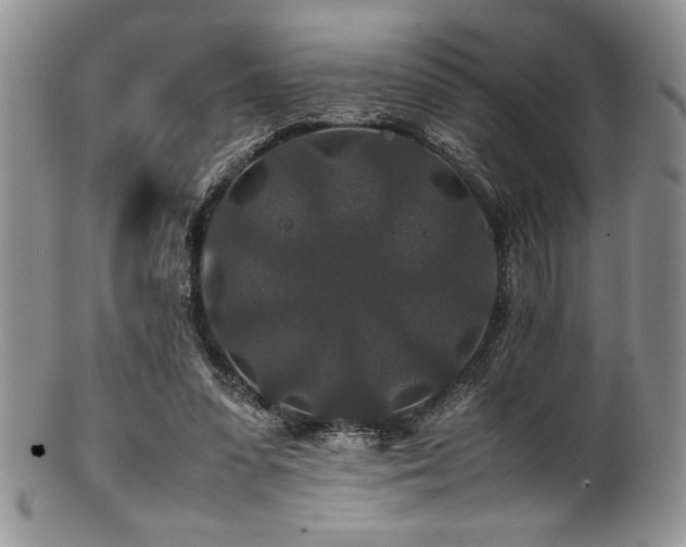 X0000100880303200806201252