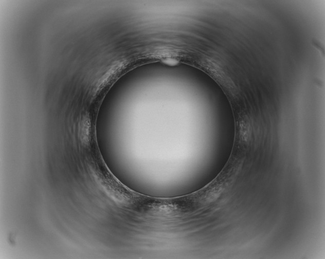 X0000100880304200806201252