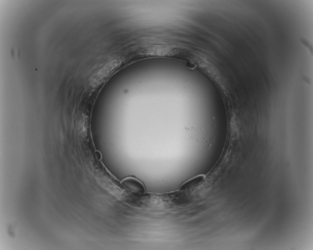 X0000100880305200806201252