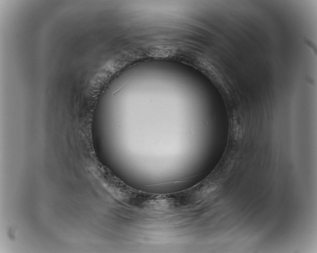 X0000100880307200806201252