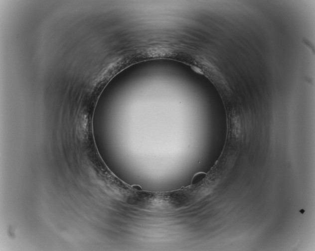 X0000100880308200806201252