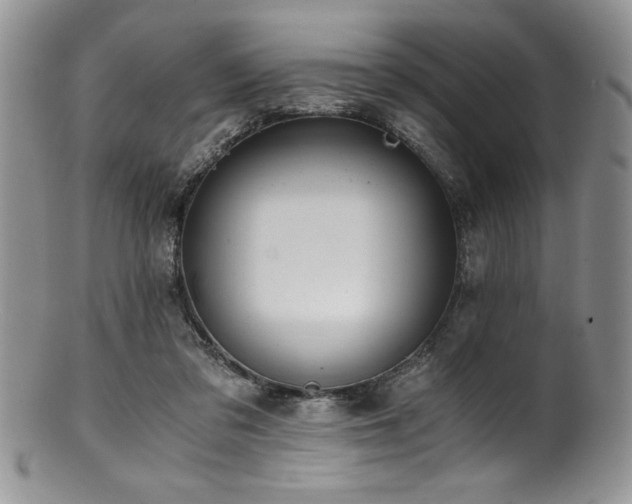 X0000100880309200806201252