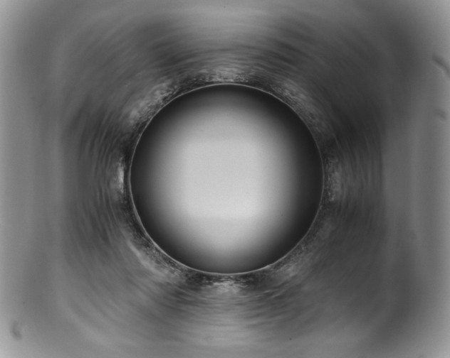 X0000100880310200806201252