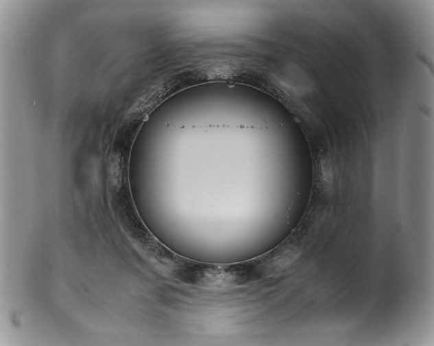 X0000100880311200806201252