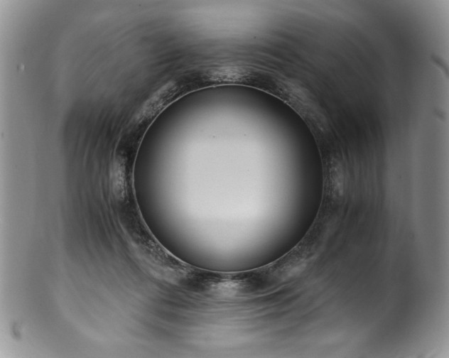 X0000100880312200806201252