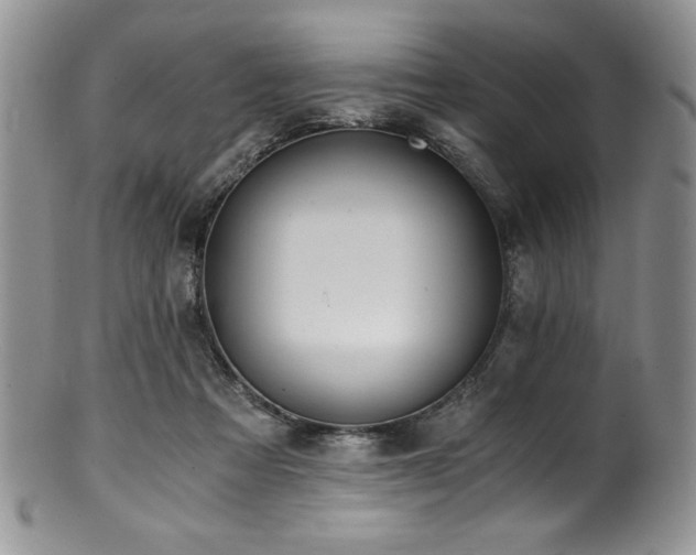 X0000100880313200806201252