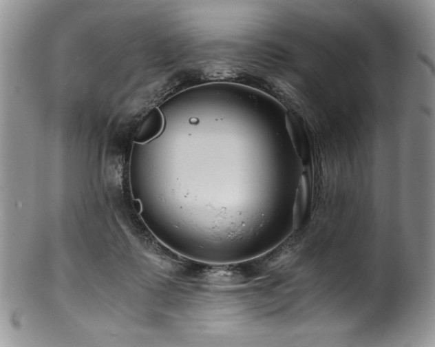 X0000100880315200806201252