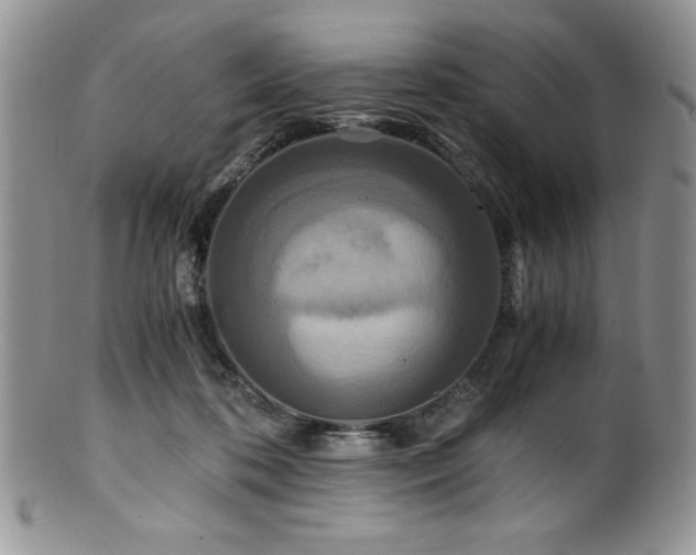 X0000100880316200806201252