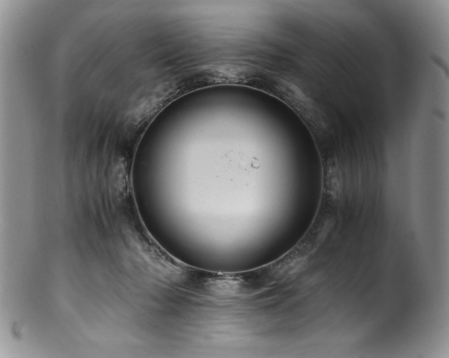 X0000100880318200806201252