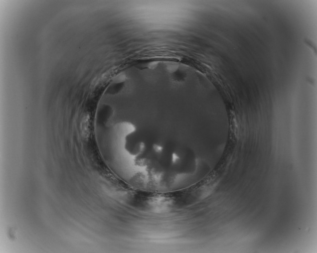 X0000100880319200806201252