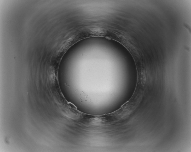 X0000100880320200806201252