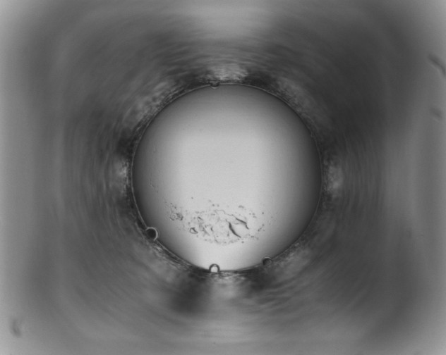 X0000100880321200806201252