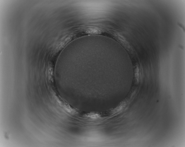 X0000100880322200806201252