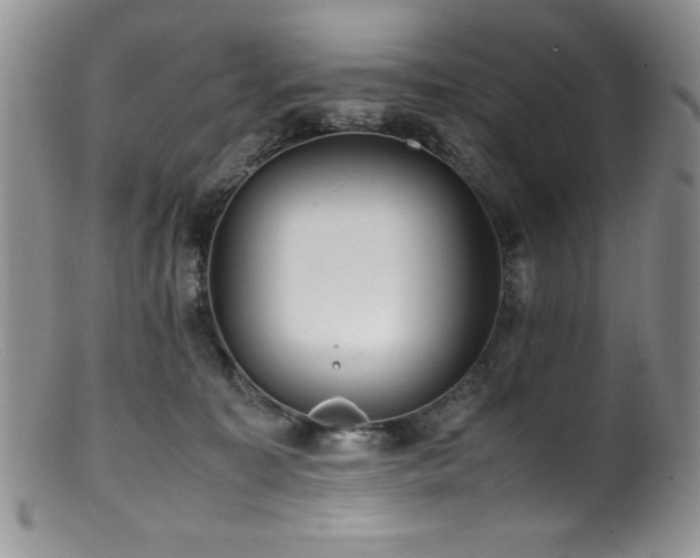 X0000100880323200806201252