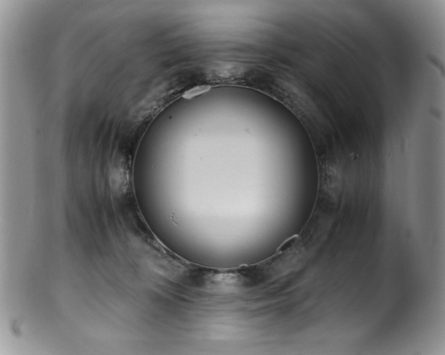 X0000100880324200806201252