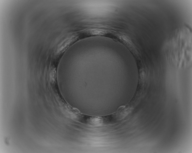 X0000100880325200806201252