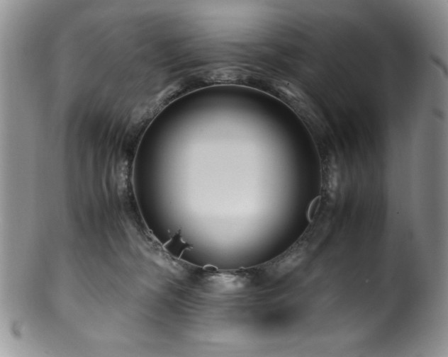 X0000100880326200806201252