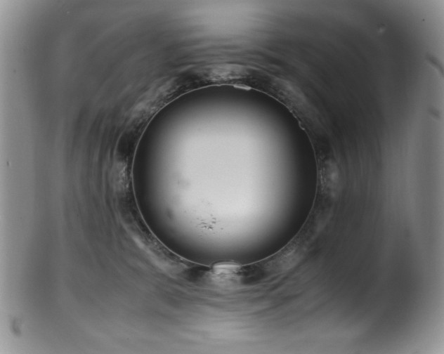 X0000100880327200806201252