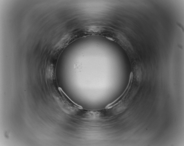 X0000100880328200806201252