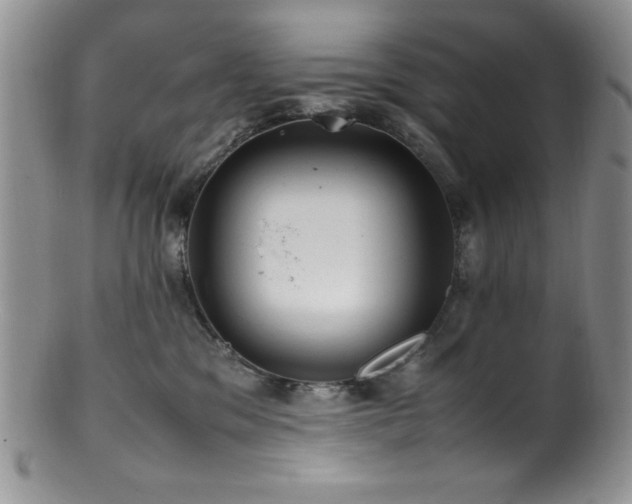 X0000100880329200806201252