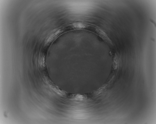 X0000100880330200806201252