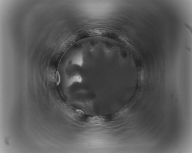 X0000100880331200806201252