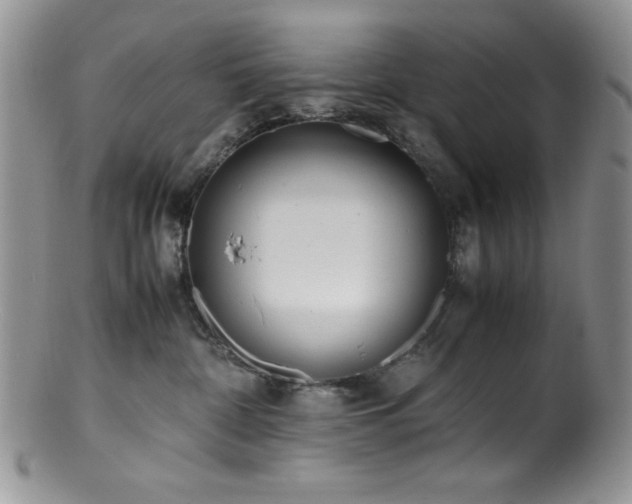 X0000100880332200806201252