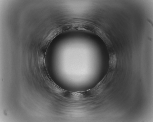 X0000100880333200806201252