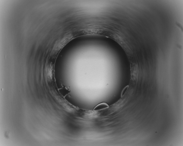 X0000100880334200806201252