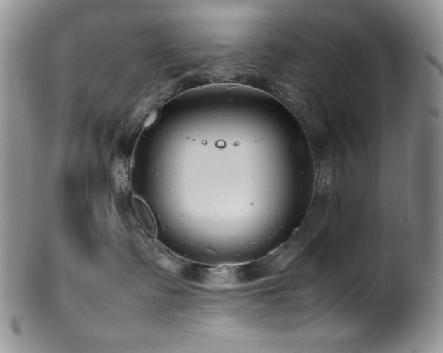 X0000100880335200806201252