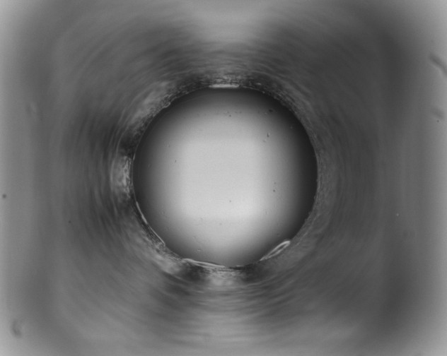 X0000100880336200806201252