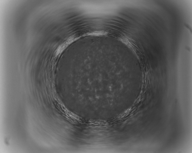 X0000100880337200806201251