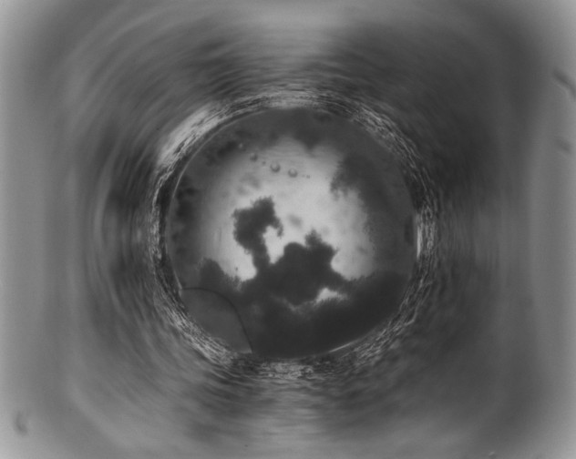 X0000100880339200806201251