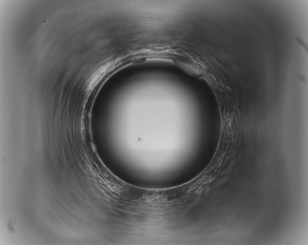 X0000100880340200806201251