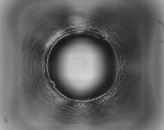 X0000100880341200806201251