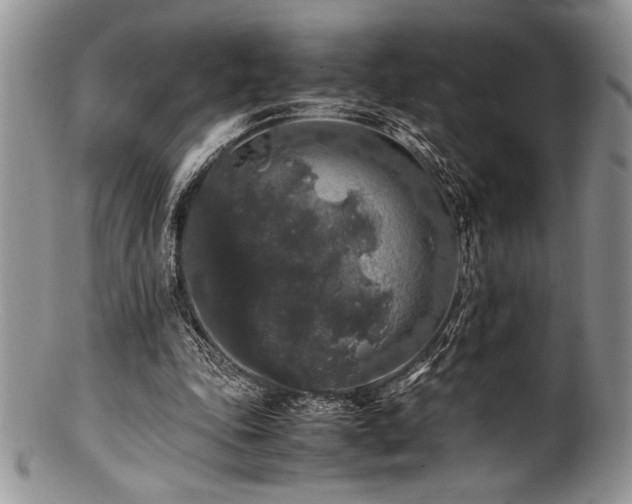 X0000100880343200806201251