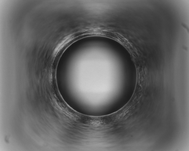 X0000100880344200806201251