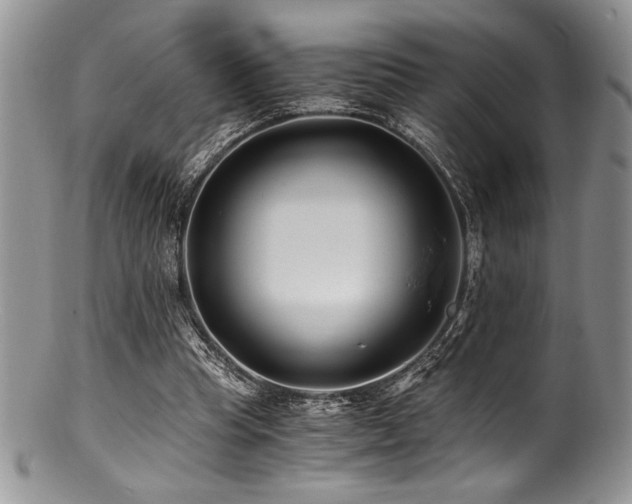 X0000100880345200806201251