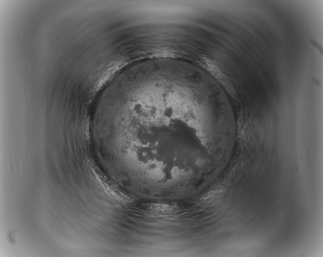 X0000100880347200806201251