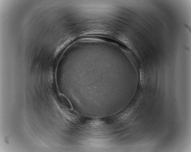 X0000100880348200806201251