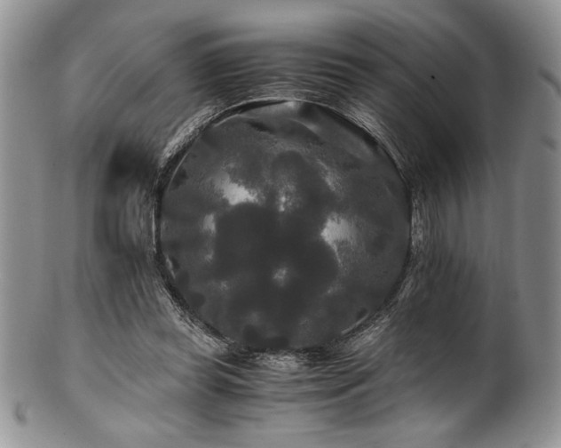 X0000100880349200806201251