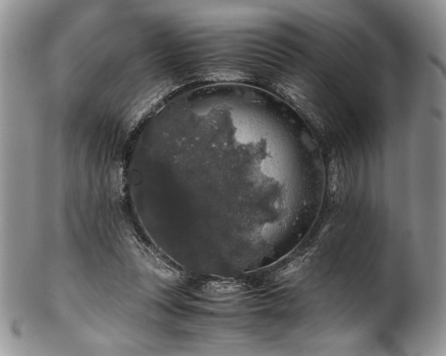 X0000100880351200806201251