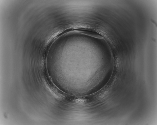 X0000100880352200806201251